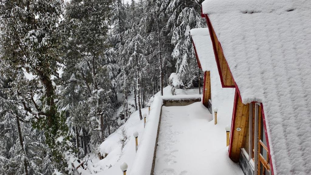 Eva Cabins Nature Frame