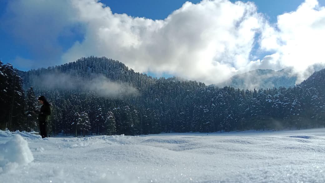 Khajjiar Cedar Perimeter