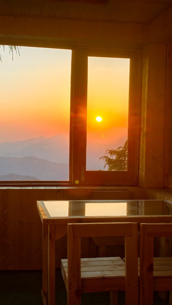 Forest View Dining