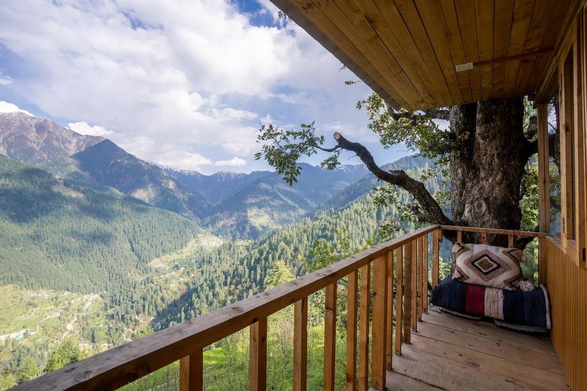 Luxury wooden cabin with mountain and pine forest views