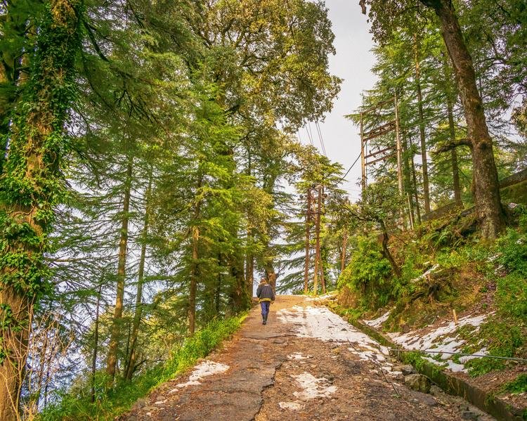 Peaceful stay in Dalhousie with panoramic Himalayan mountain views