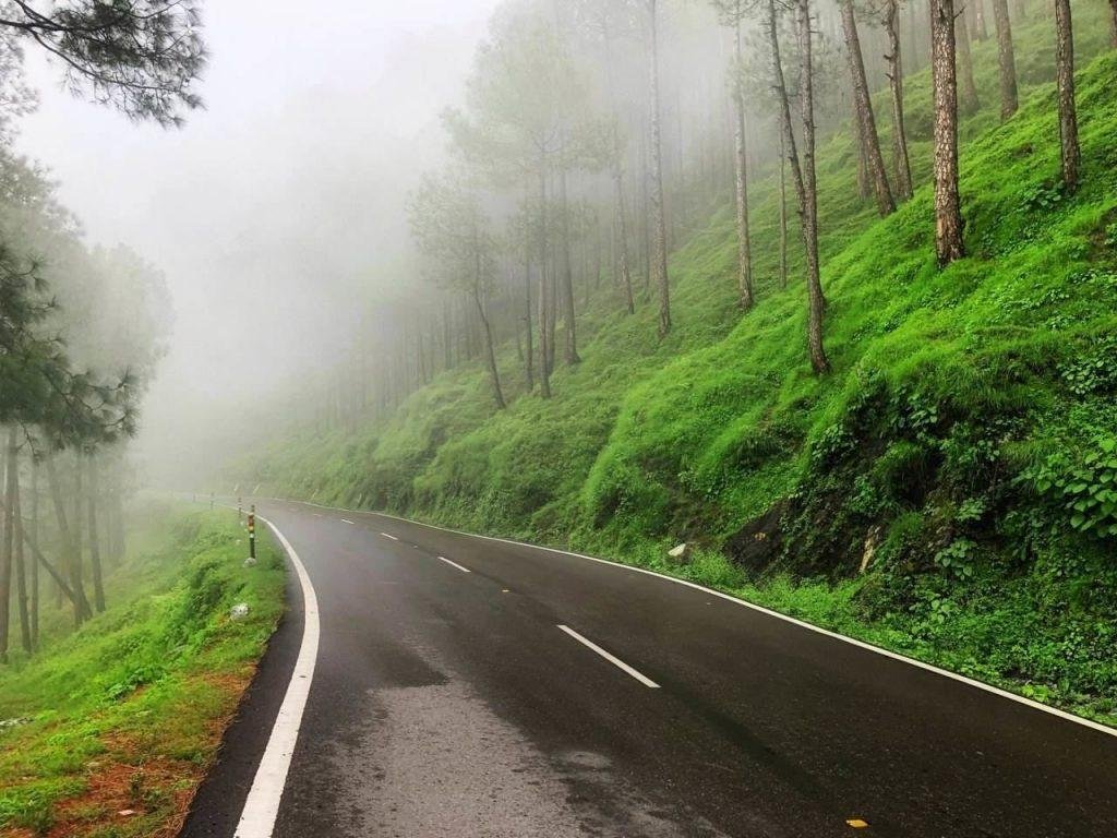 Dalhousie in monsoon with mist-covered pine forests and mountain roads