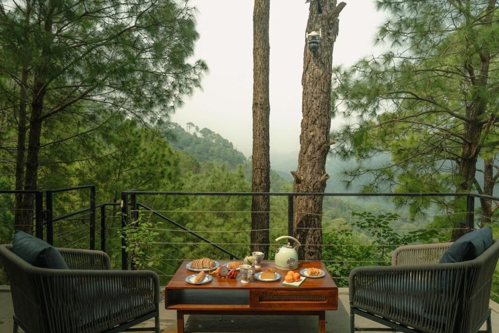 Forest view dining in Dalhousie with mountain views and outdoor seating