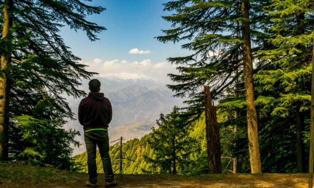 Traveler enjoying fresh mountain air in Dalhousie overlooking Himalayan forests
