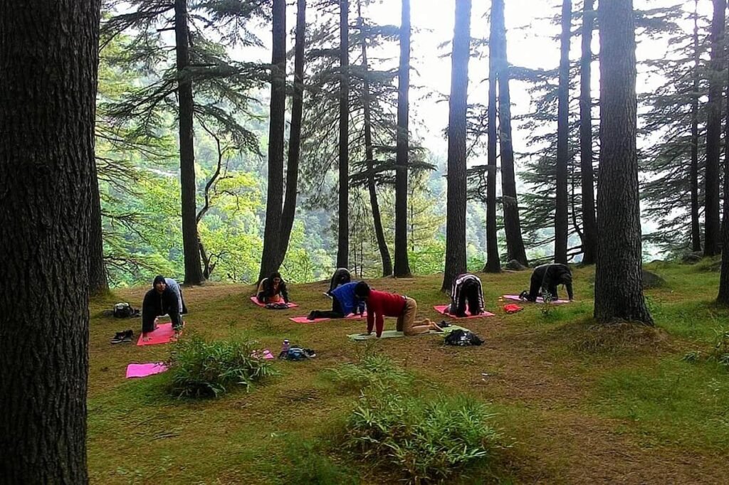 Practicing yoga in the Himalayas with fresh mountain air in Dalhousie