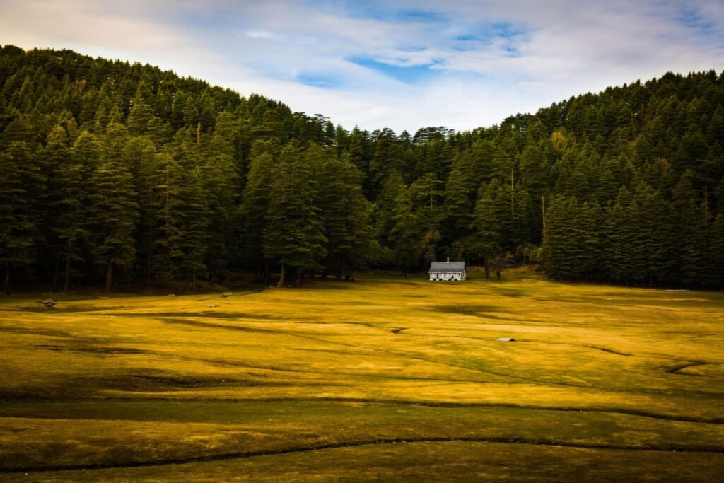 Khajjiar meadow surrounded by autumn-colored trees near Dalhousie.