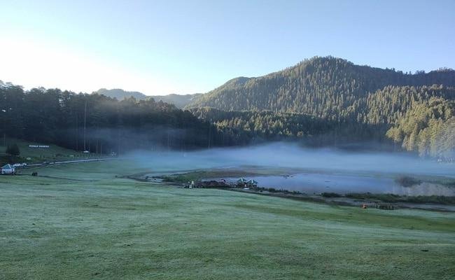 Misty Khajjiar meadows surrounded by pine forests near Dalhousie