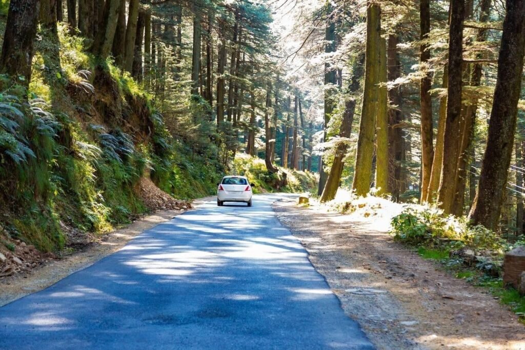 Scenic forest road leading from Dalhousie to Khajjiar through towering deodar trees.