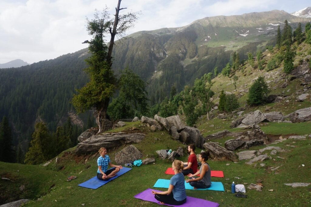 Outdoor yoga in nature surrounded by pine forests in Dalhousie