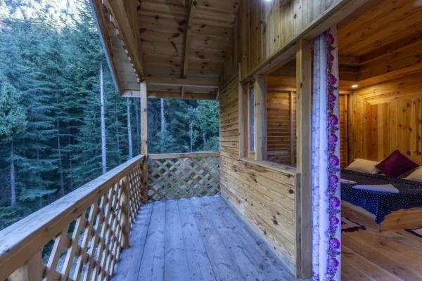 Private wooden cabin surrounded by pine forests in Dalhousie