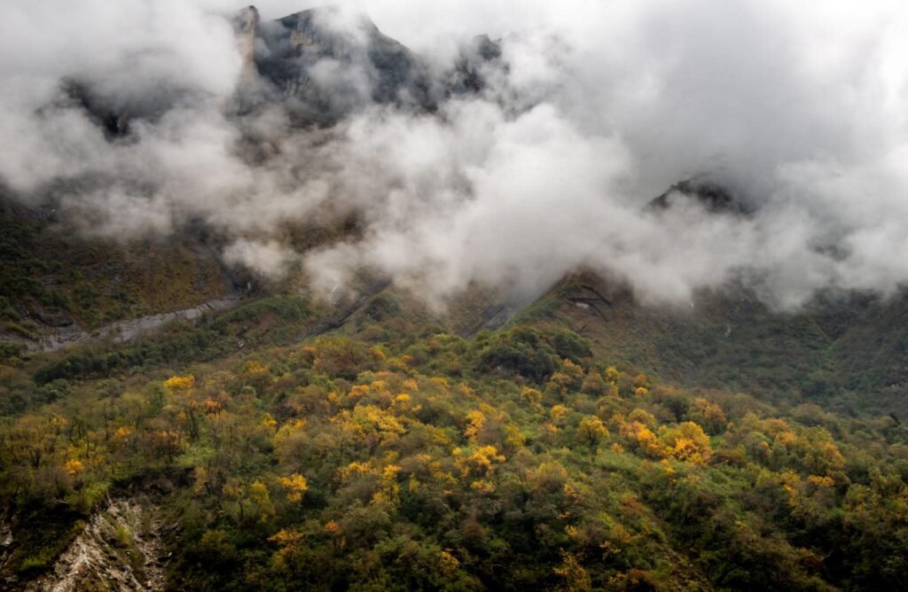 Himalayan mountain landscape showing seasonal changes with autumn foliage and mist