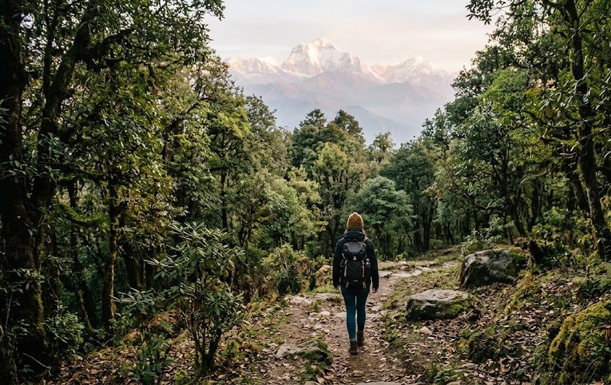 Traveller enjoying a quiet Himalayan forest walk
